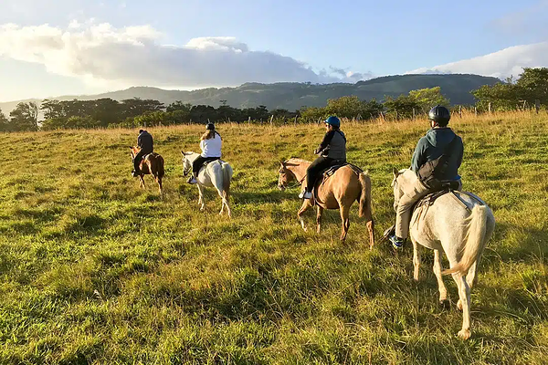 horseback.png
