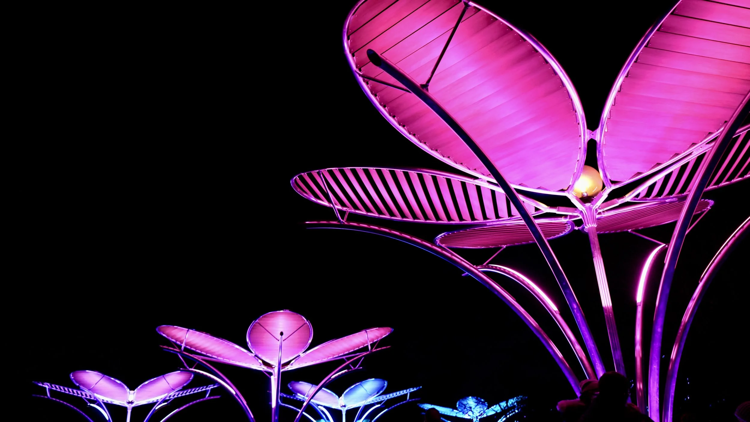 Christmas At Kew Gardens