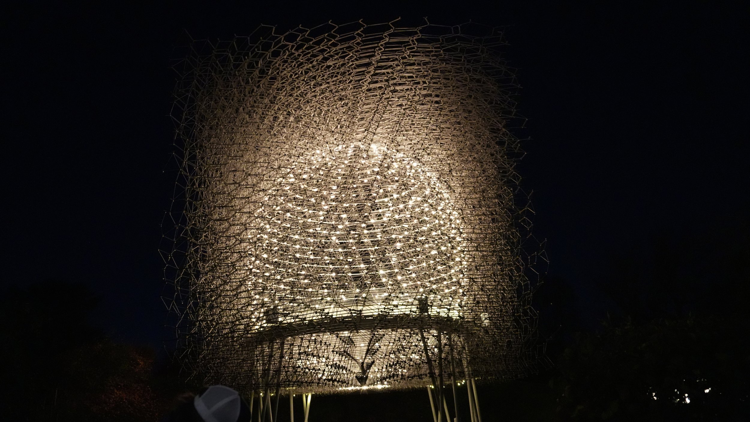 Christmas At Kew Gardens