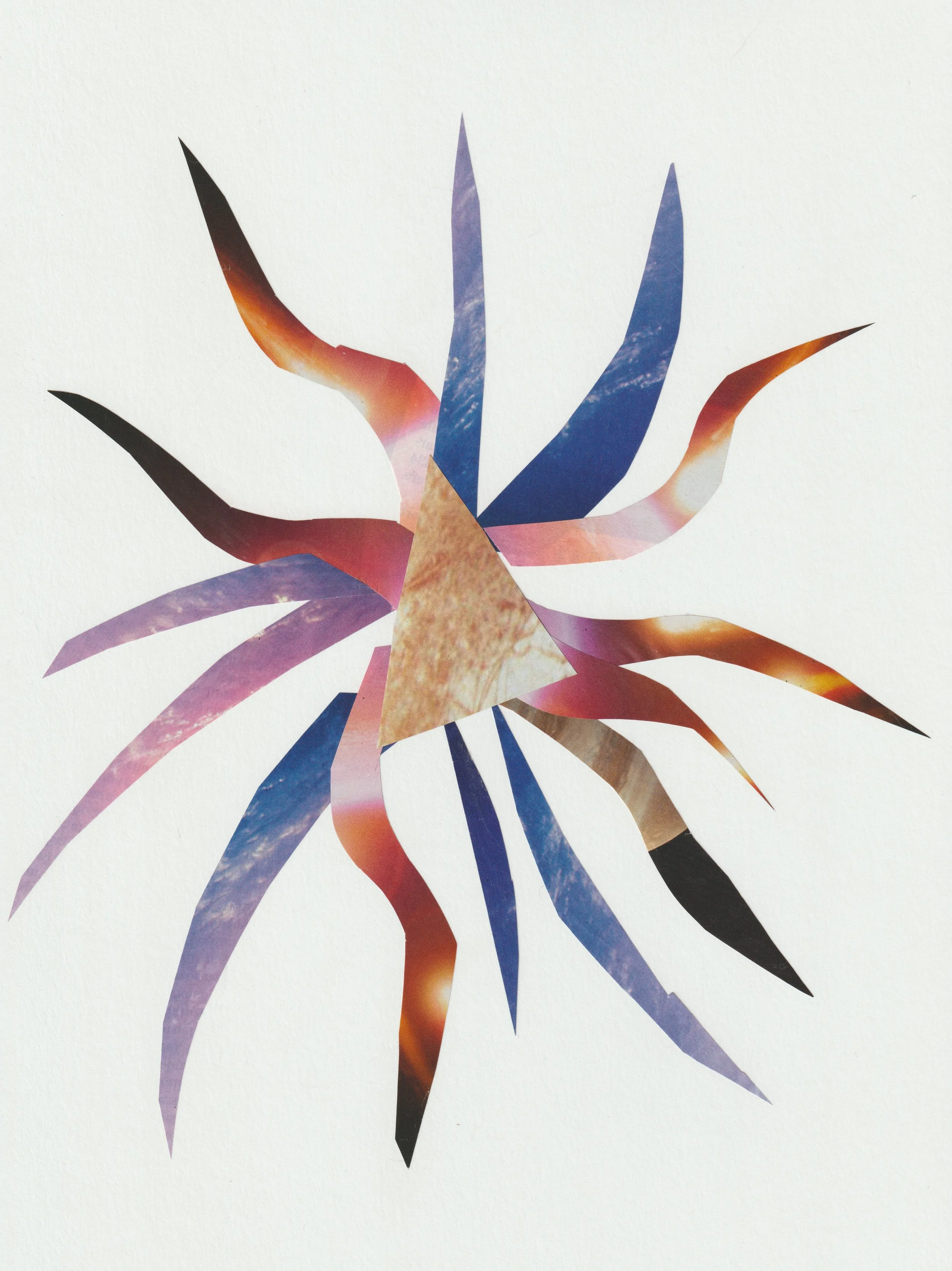 Cosmos