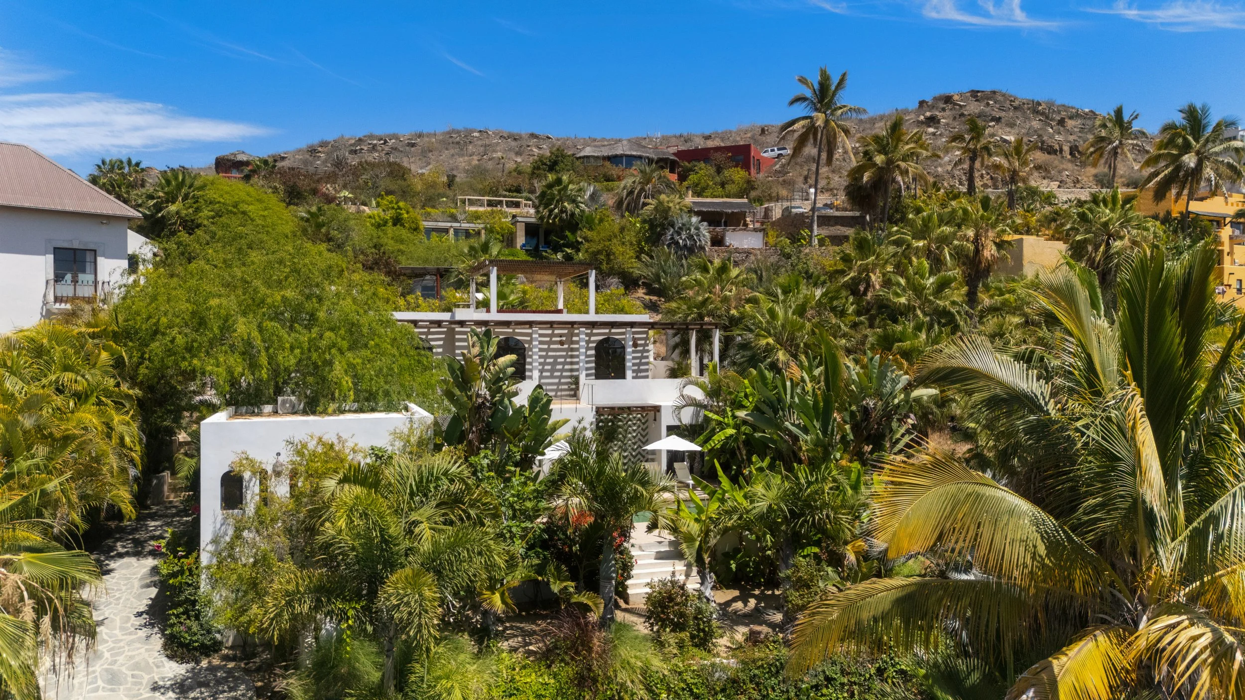 A hillside with various houses surrounded by lush green trees and plants, palm trees, and clear blue sky.