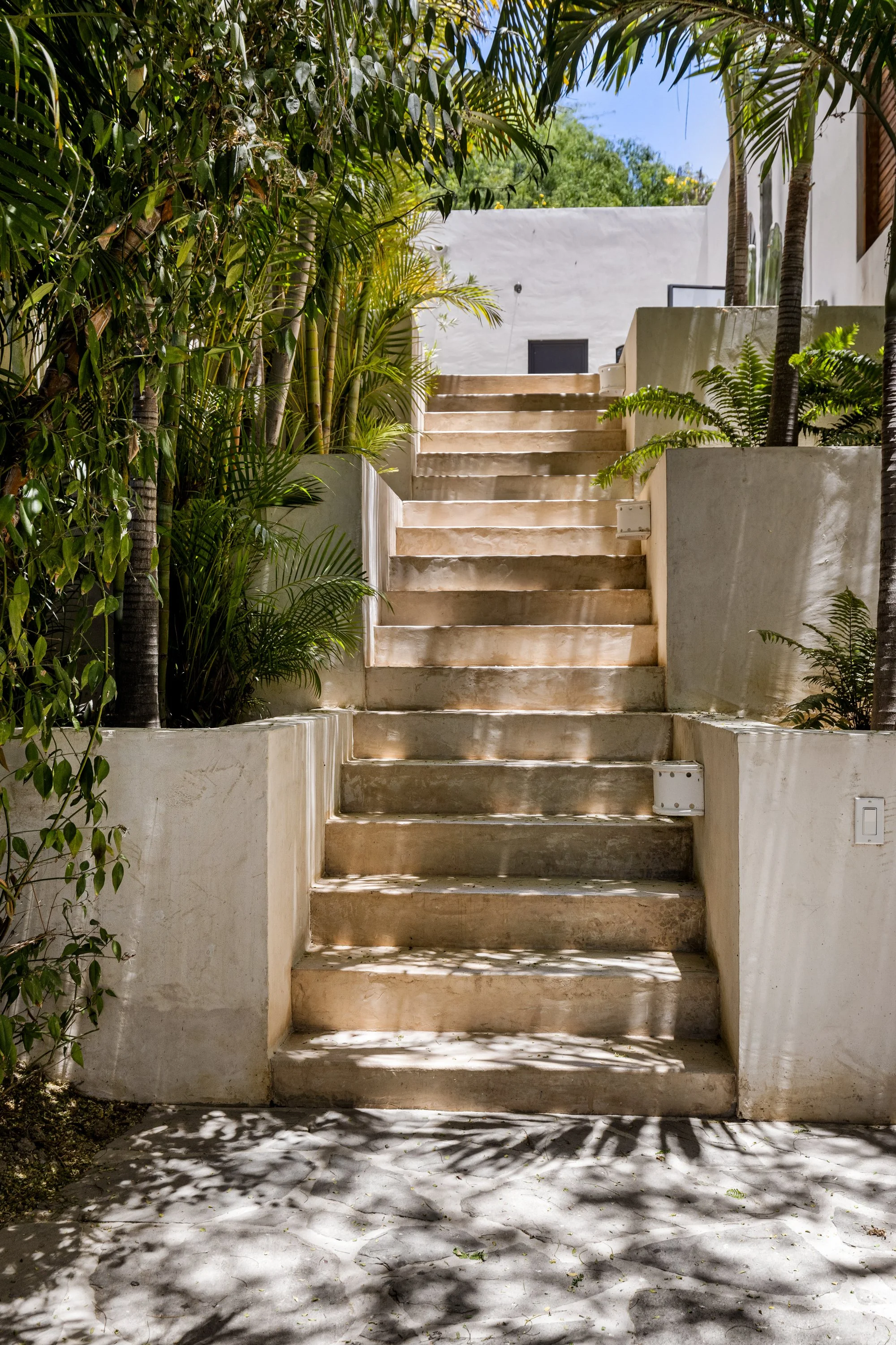 Outdoor staircase with concrete steps and white walls surrounded by lush green tropical plants and trees, casting shadows on the ground.