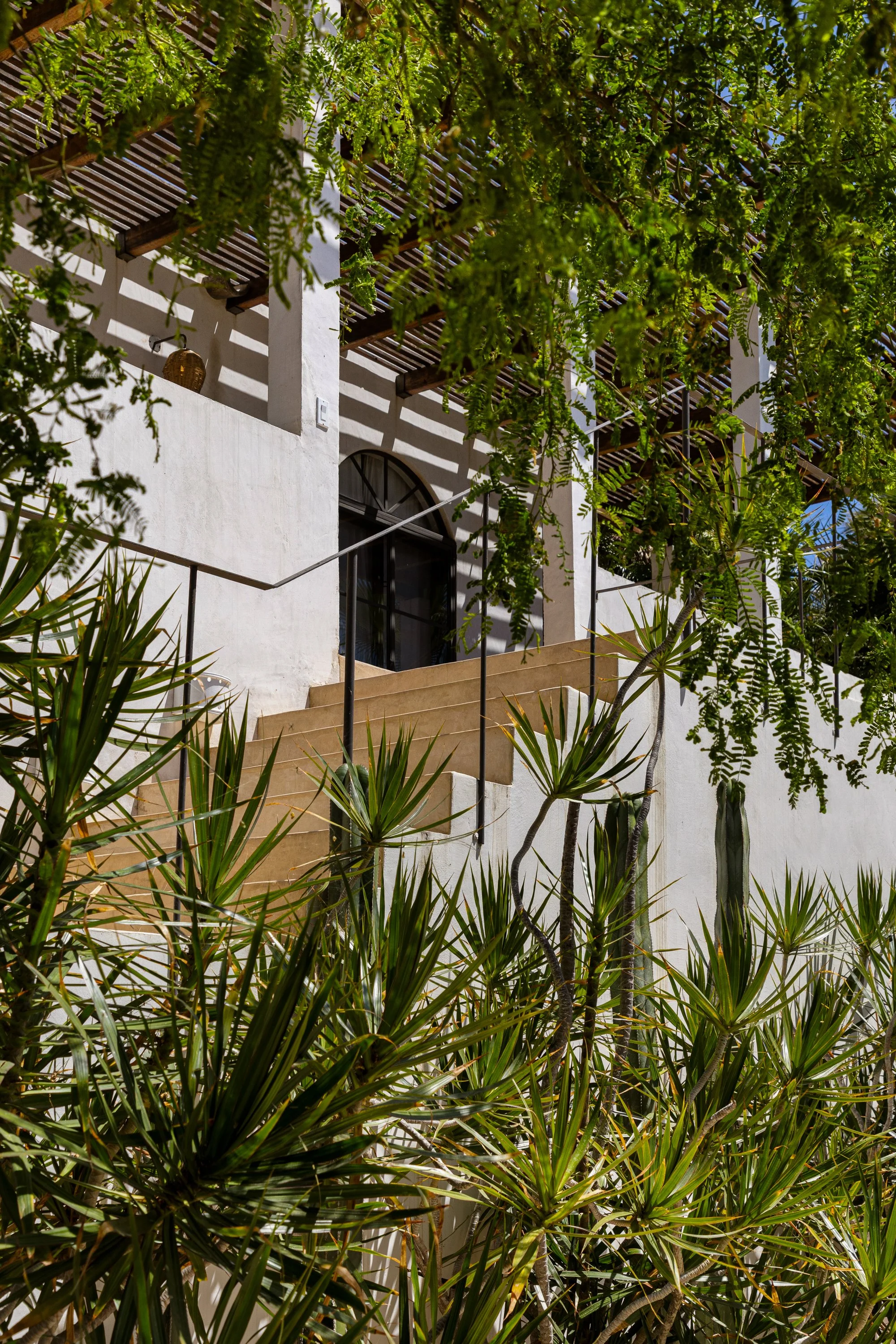 Two-story modern white house with balcony, surrounded by green plants and trees, with steps leading up to the entrance.