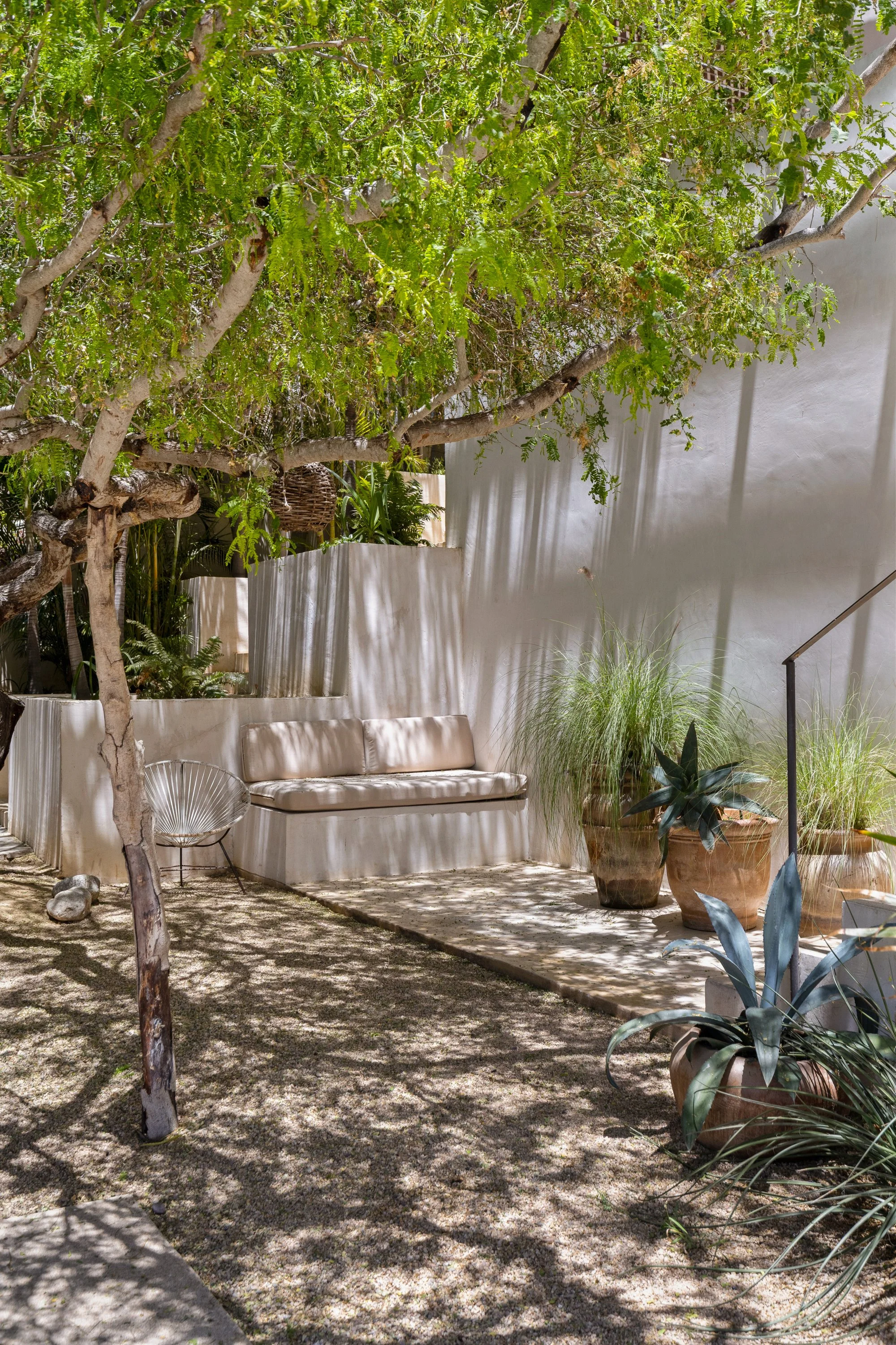 An outdoor seating area with a white wall, a sofa, and various potted plants under a tree with green leaves, casting shadows on the ground.
