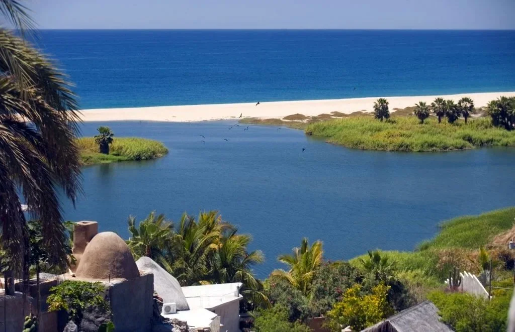 Tropical landscape with a river leading out to the ocean, sandy beach, palm trees, green vegetation, and blue sky.