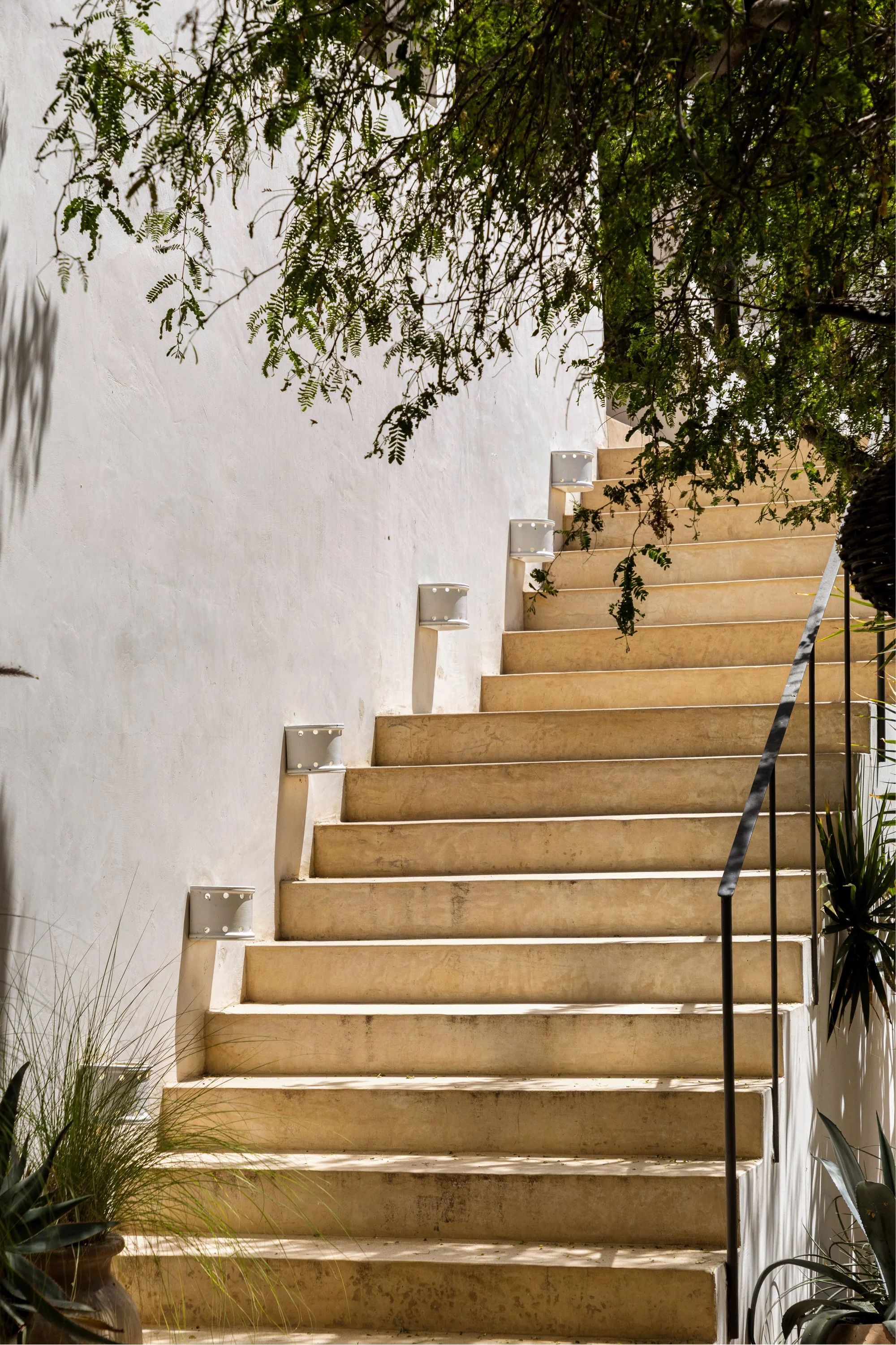 A staircase with beige steps and black handrails, surrounded by green plants and a white wall with decorative wall lights.