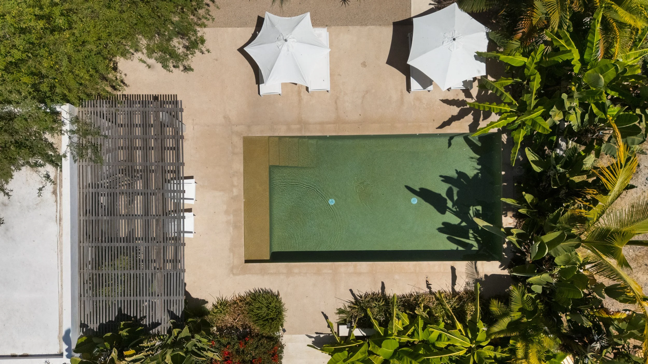 Top view of a pool with a waterfall feature, surrounded by a beige deck, with three white umbrellas and lush green tropical plants.