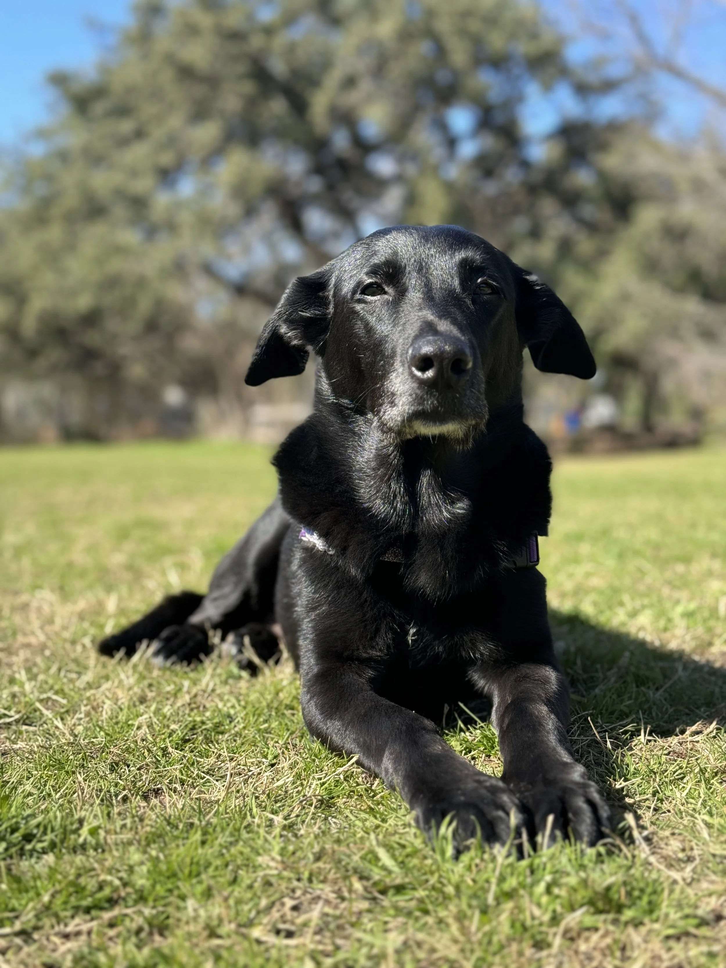 Remembering Charlie