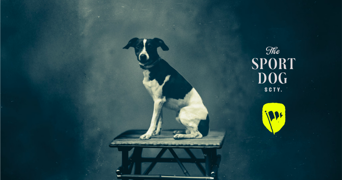 The Sport Dog University