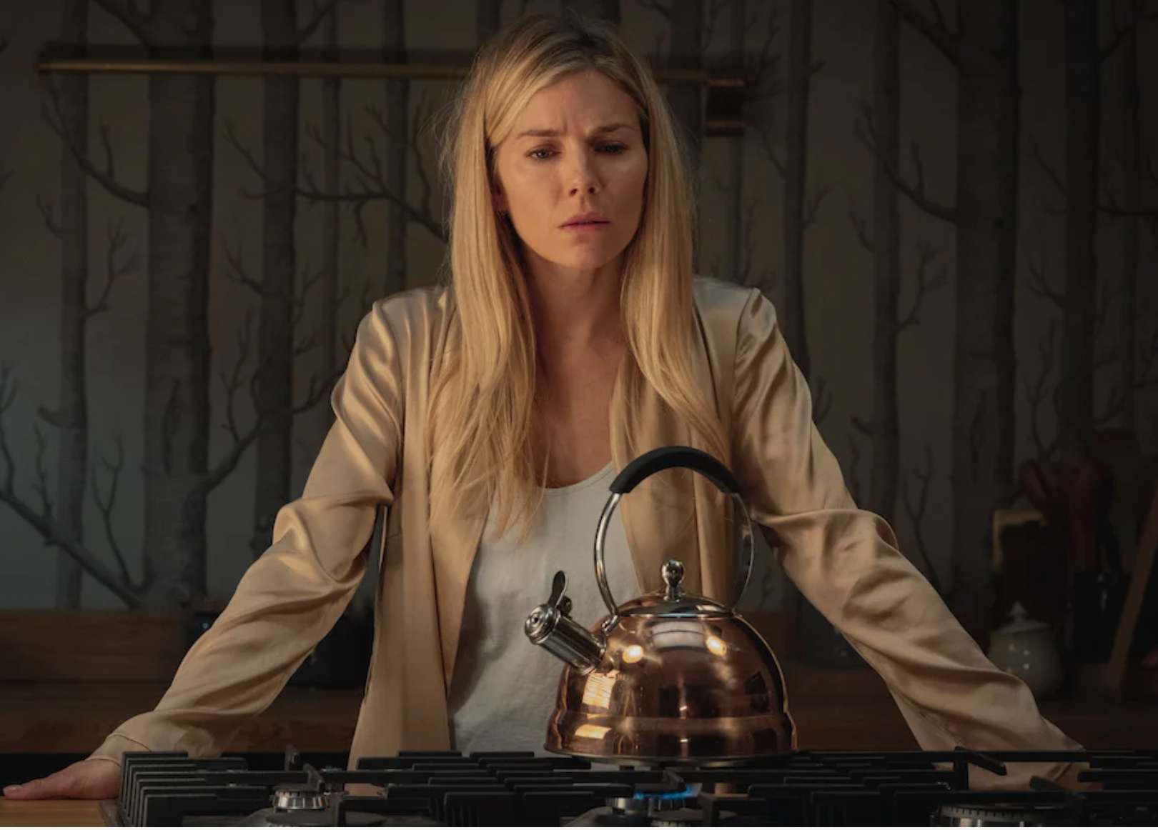 Anatomy of a Scandal has something to say about women in midlife