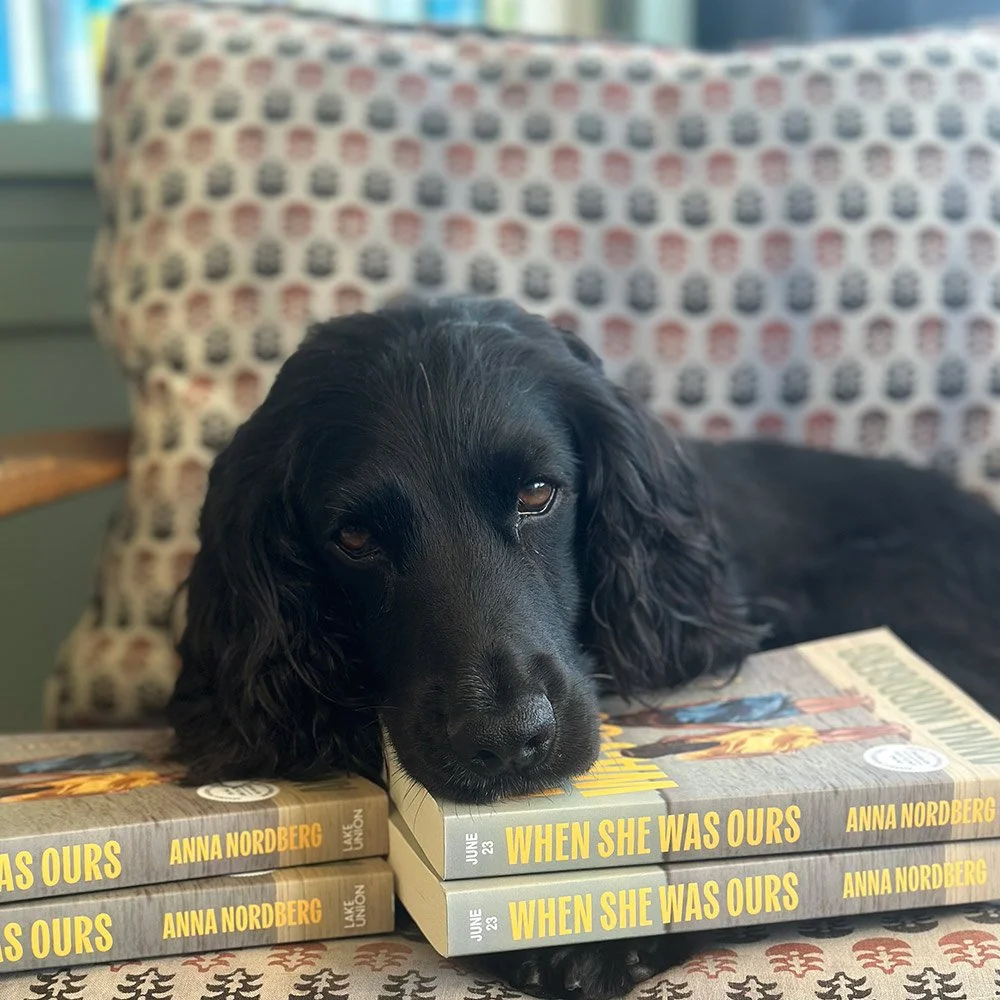 Dog laying on couch with copies of When She Was Ours by Anna Nordberg
