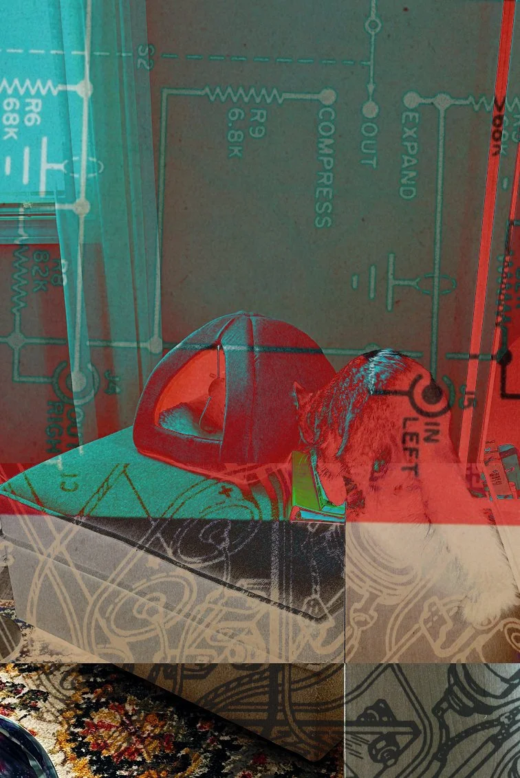 Untitled - 2024 - Photoshop