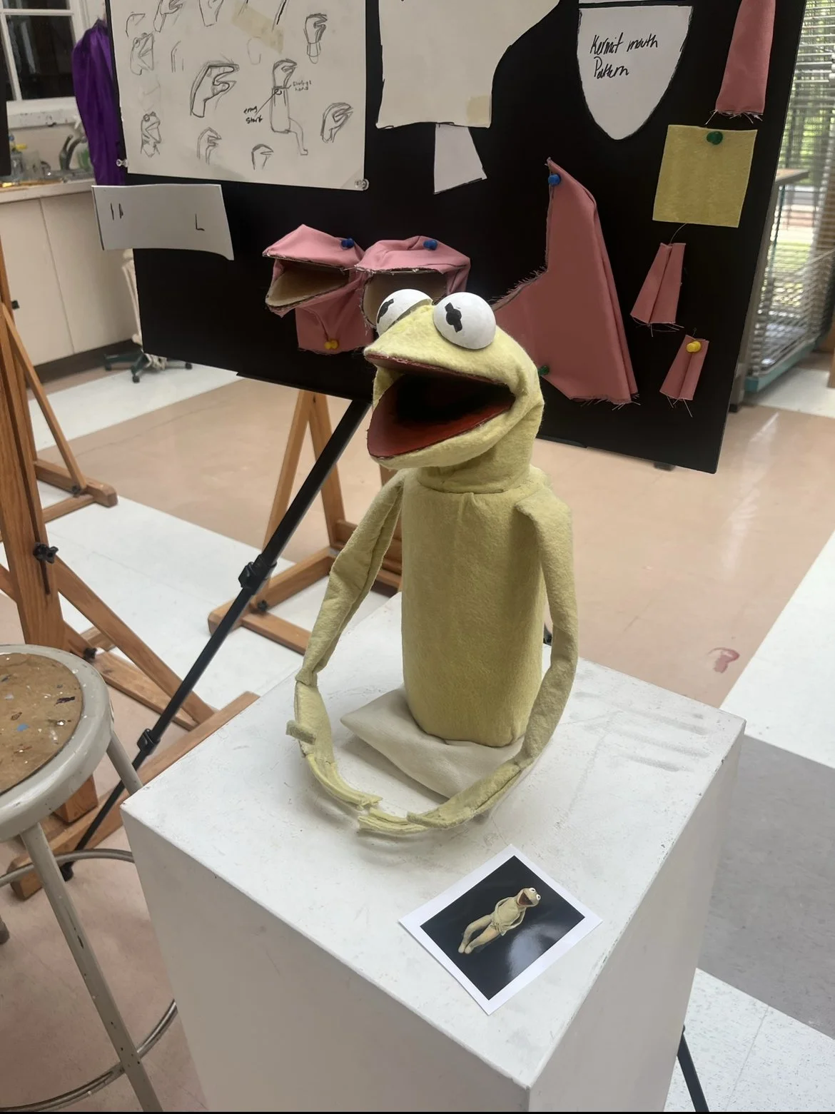 IMG_6145.jpeg