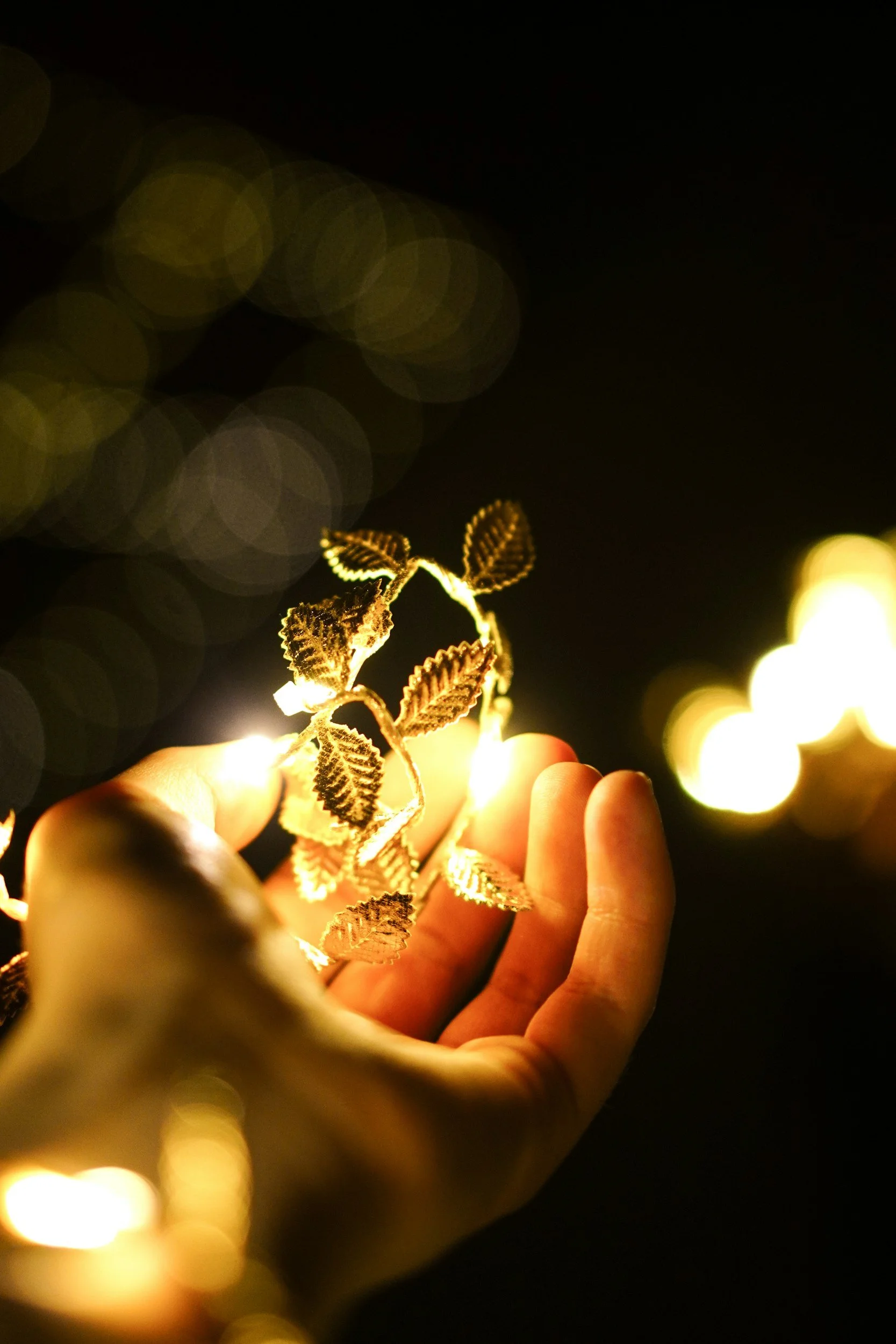 A person holding a small, illuminated plant with golden leaves against a dark background with blurry lights.
