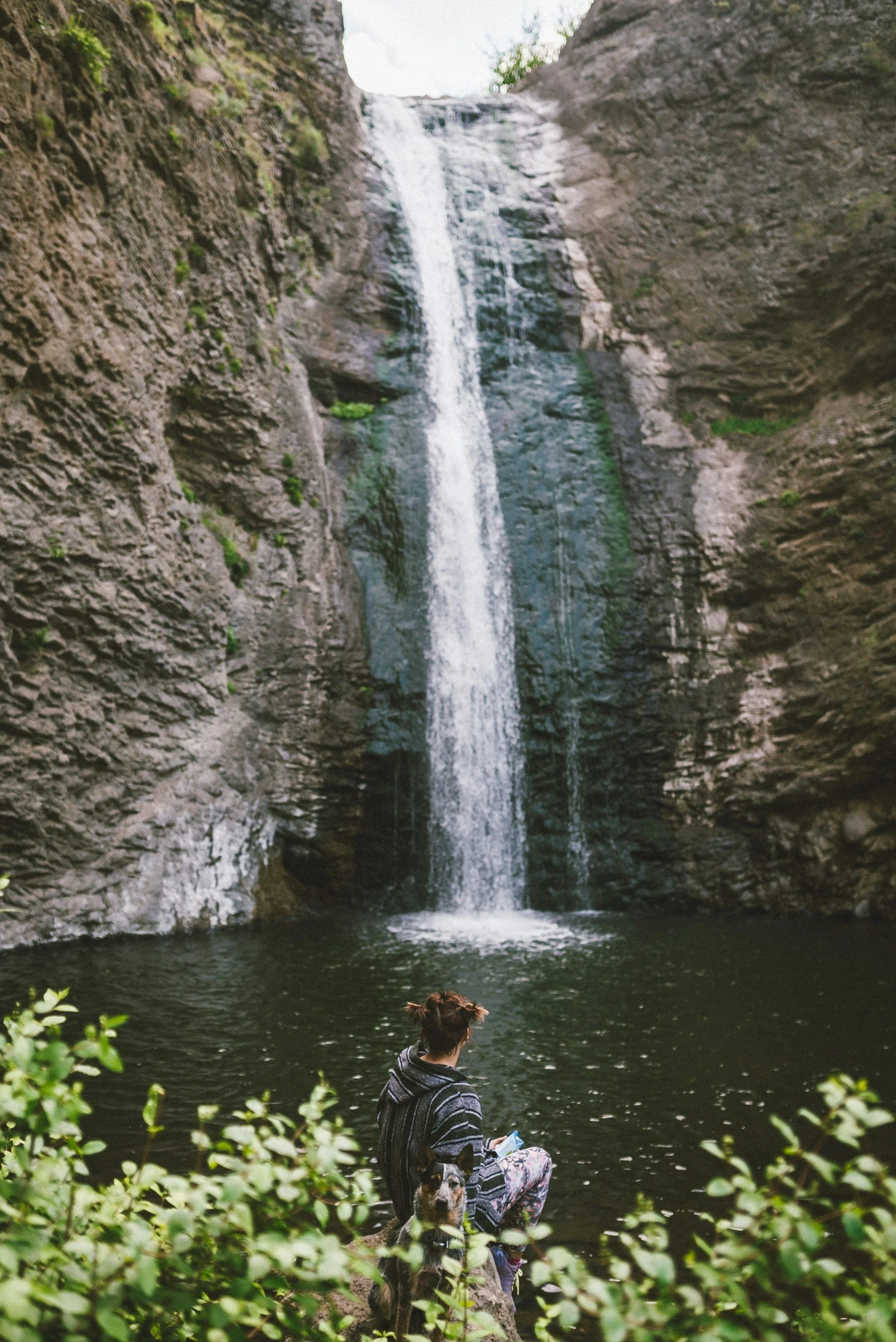 A person sitting by a body of water with a dog, overlooking a waterfall cascading down a cliff into the water below, surrounded by greenery.