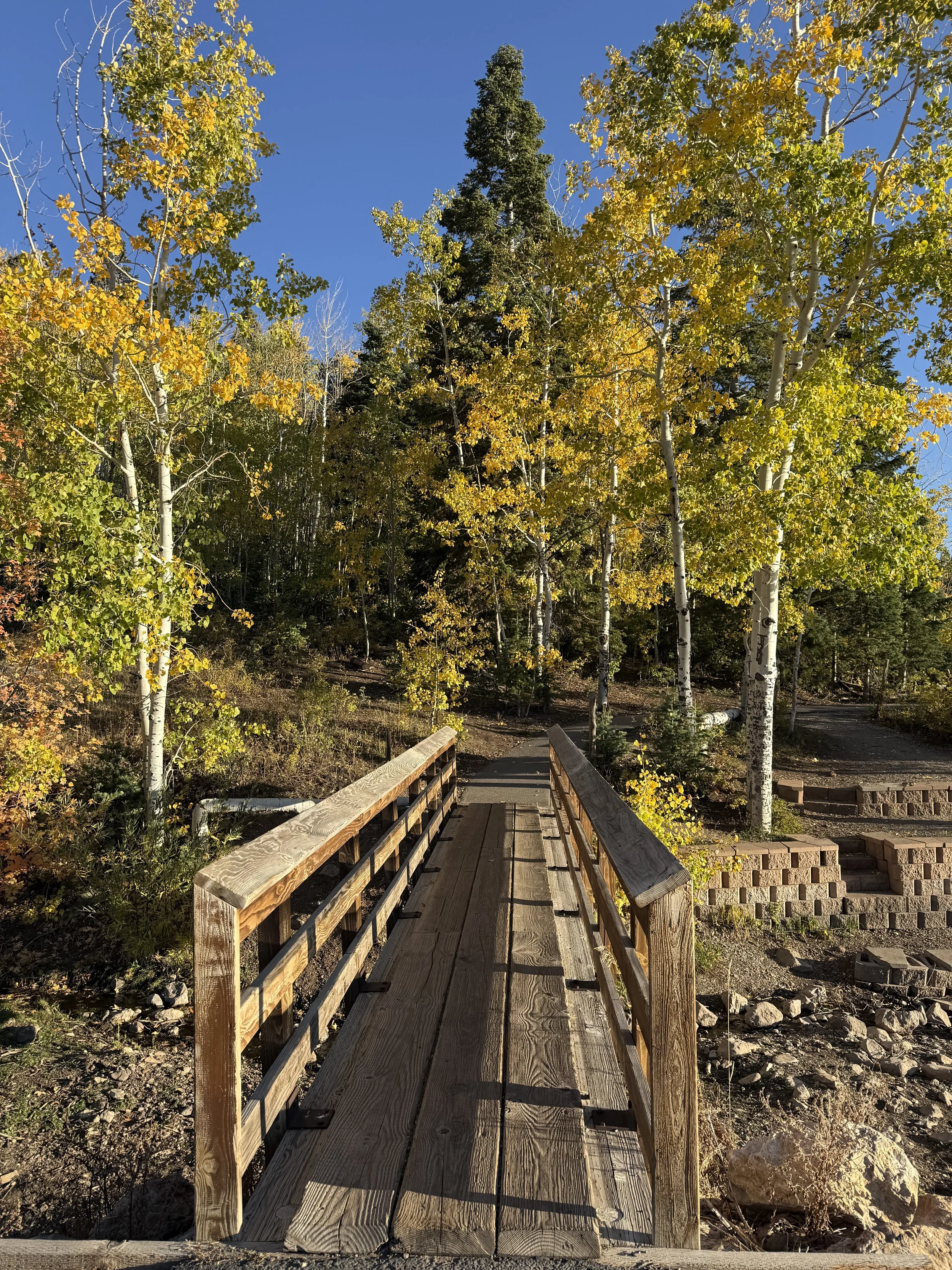 Wooden bridge over a rocky stream in a forest with trees that have green and yellow leaves, under a clear blue sky.