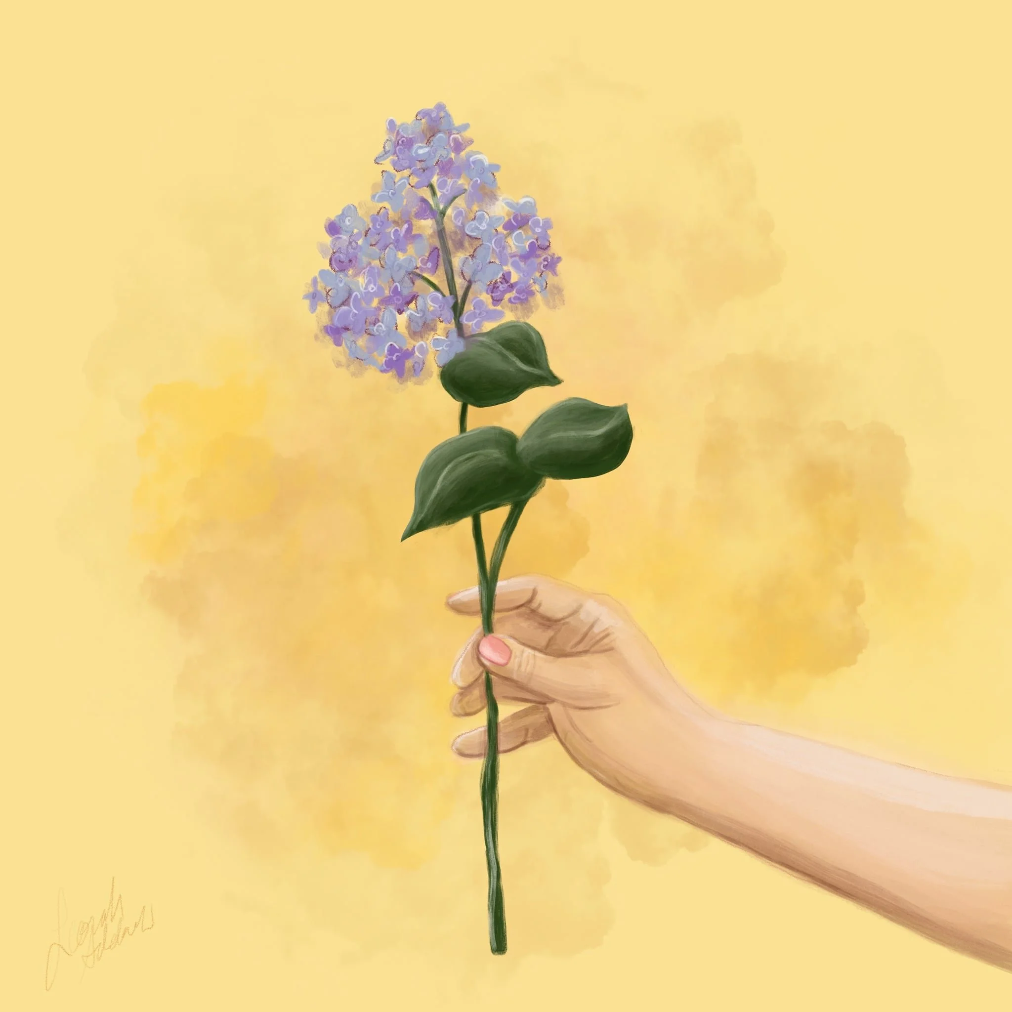 Digital Illustrations