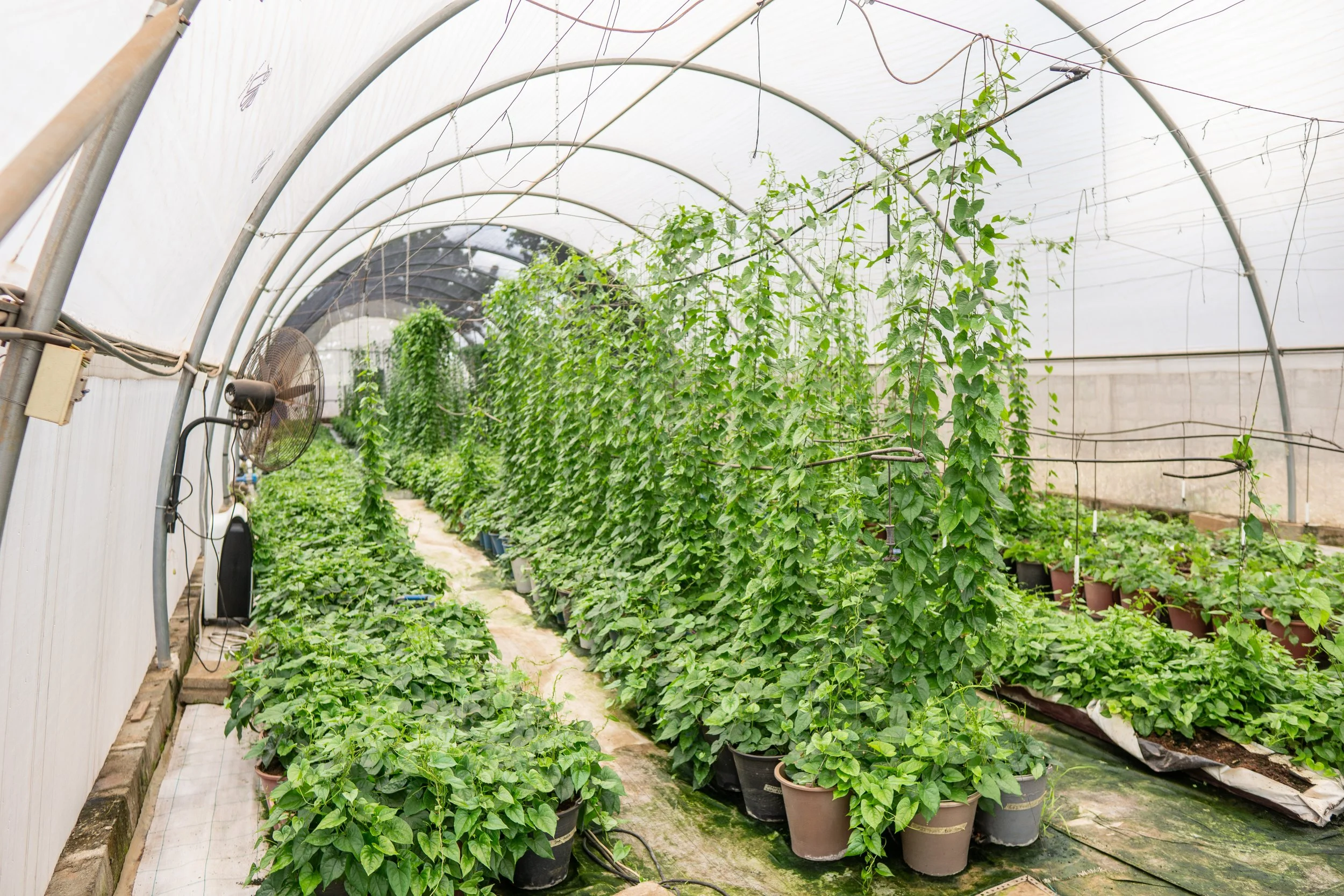 scrrenhous 1 (3).jpg