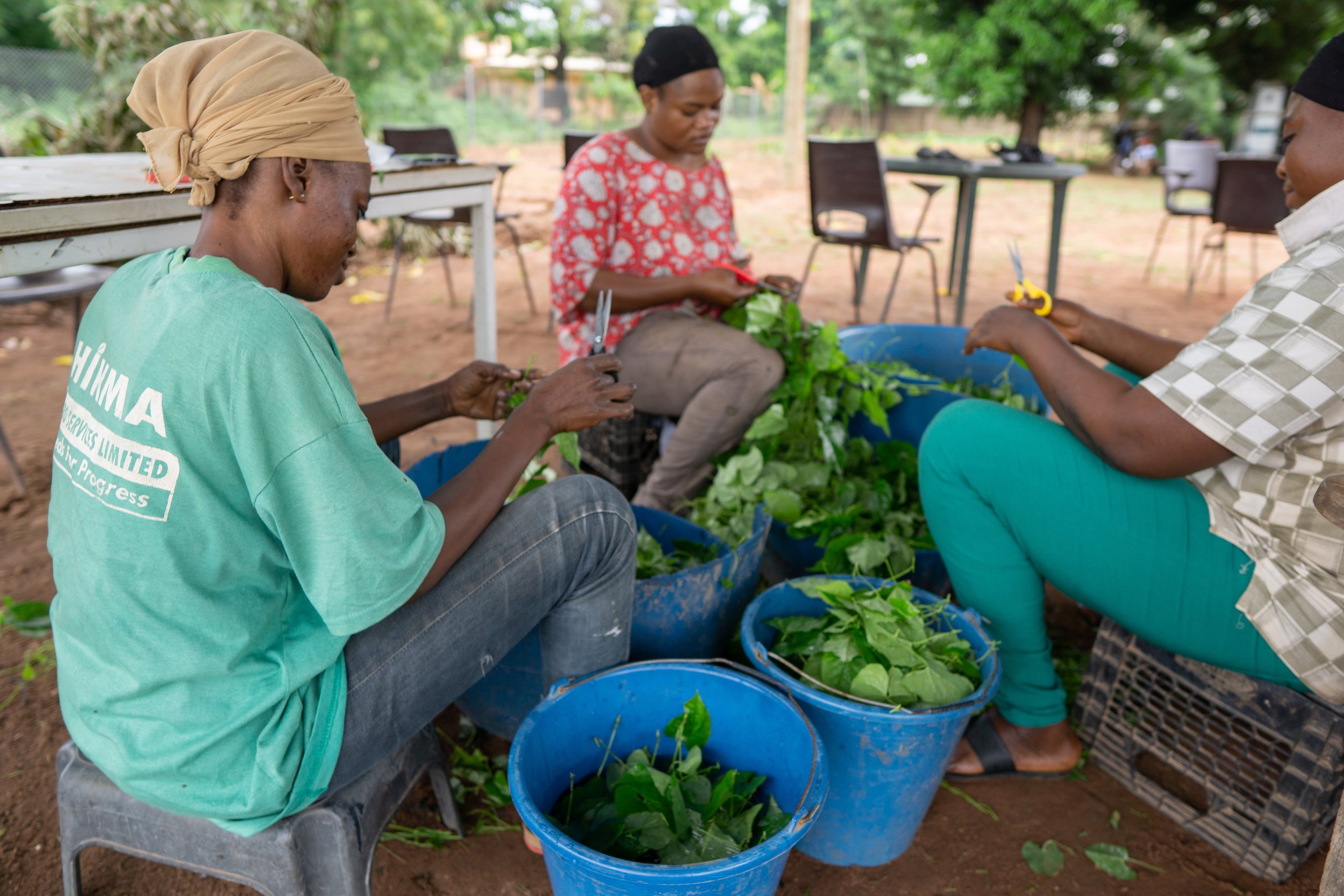 Cutting of Nodes.jpg