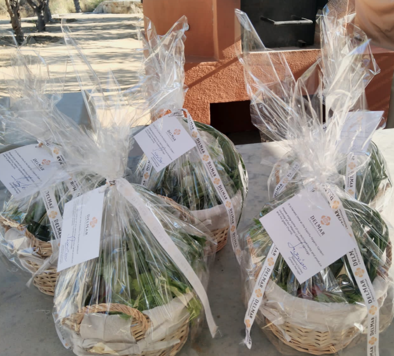 Screen Shot 2026-03-31 at 8.06.08 PM.png