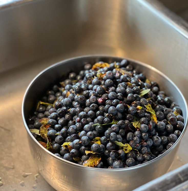 Screen Shot 2026-03-28 at 3.58.26 PM.png