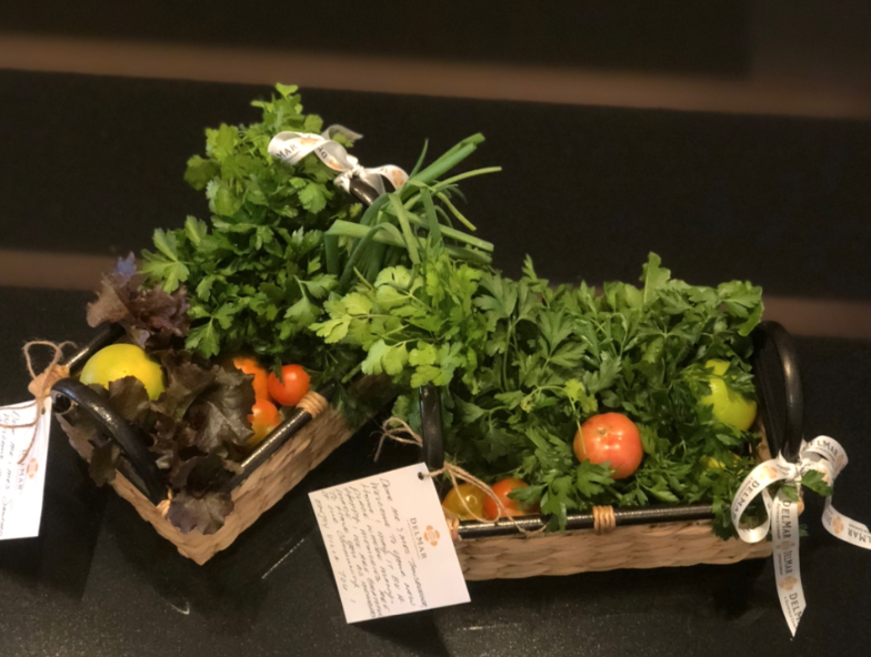 Screen Shot 2026-03-31 at 8.07.11 PM.png