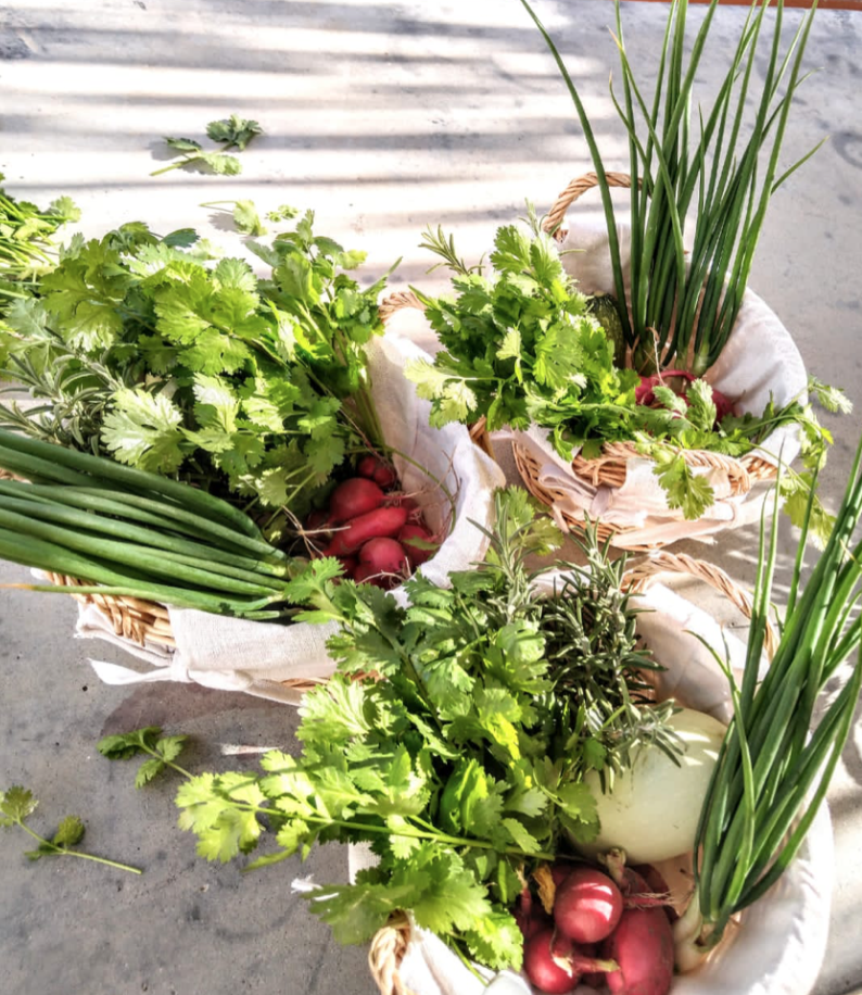 Screen Shot 2026-03-31 at 8.06.00 PM.png