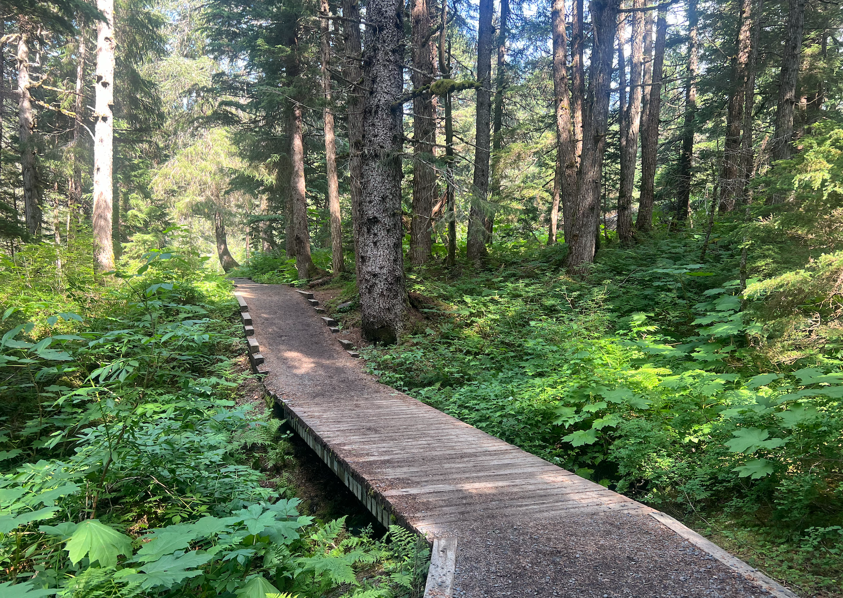 Screen Shot 2026-03-28 at 4.00.40 PM.png