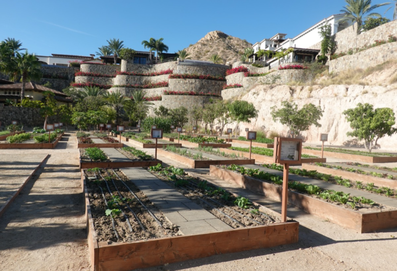 Screen Shot 2026-03-31 at 8.06.54 PM.png