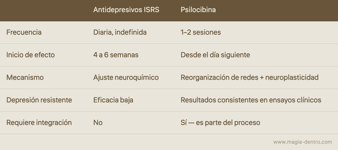 Psilocibina vs. antidepresivos convencionales