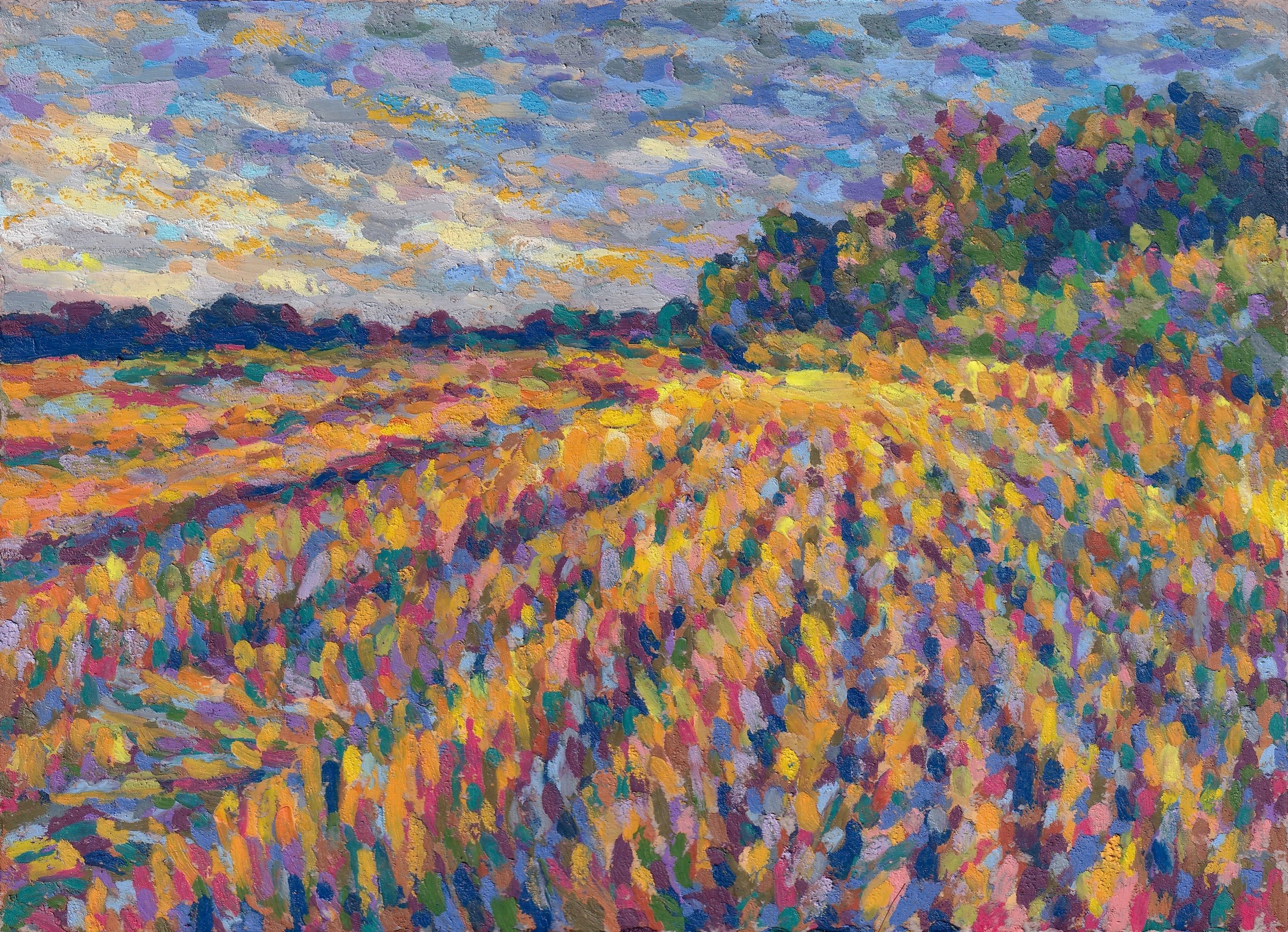 field before a storm 4x6.jpg