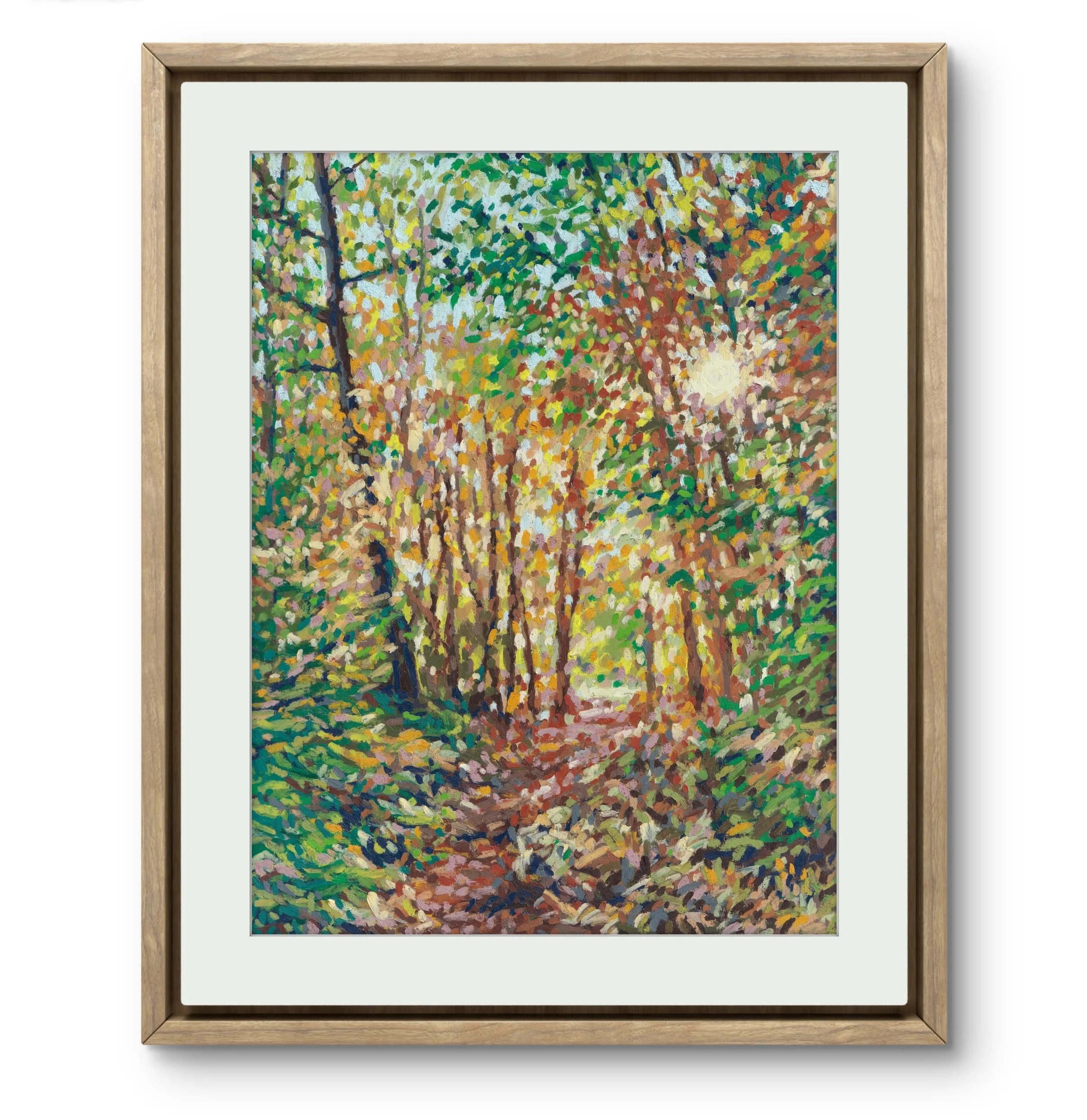 Autumn Woods, 8 x 11"