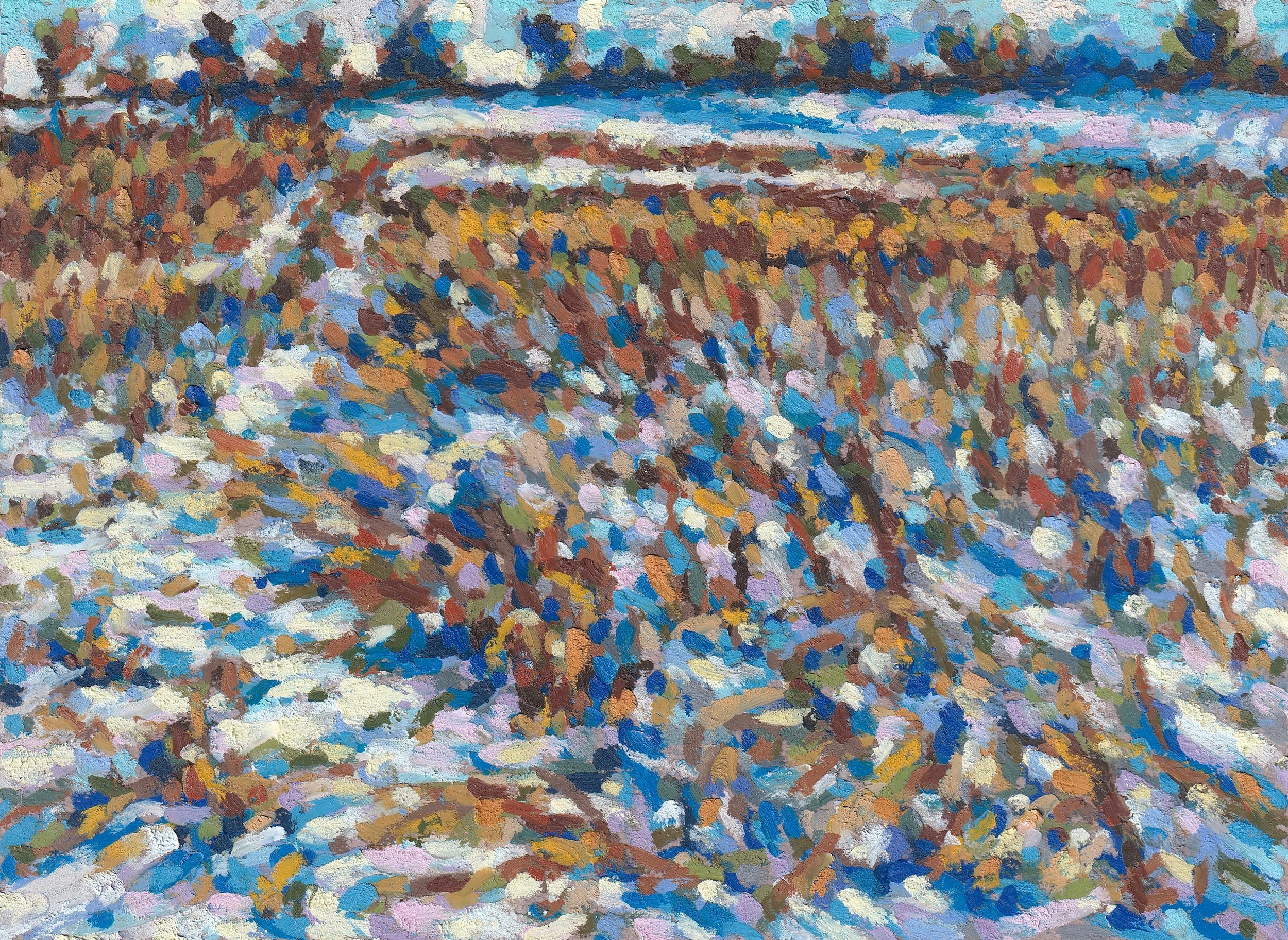snowy field 4x6.jpg