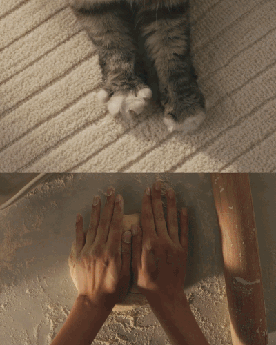 Top: Close-up of a cat's paws on a striped carpet. Bottom: Hands kneading dough on a floured surface.