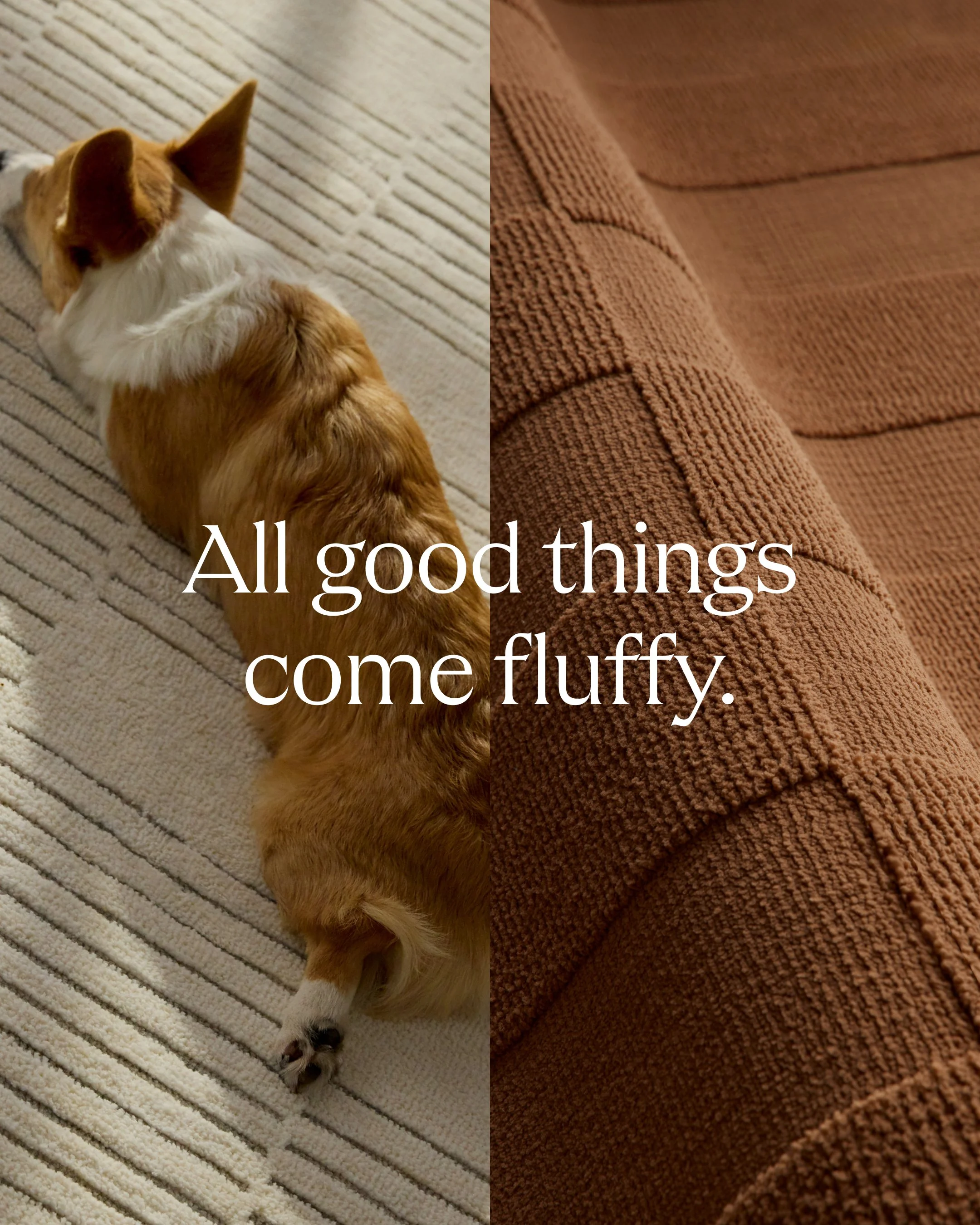 A dog with orange and white fur, lying on a striped beige and white rug, next to a textured brown couch with a rounded armrest.