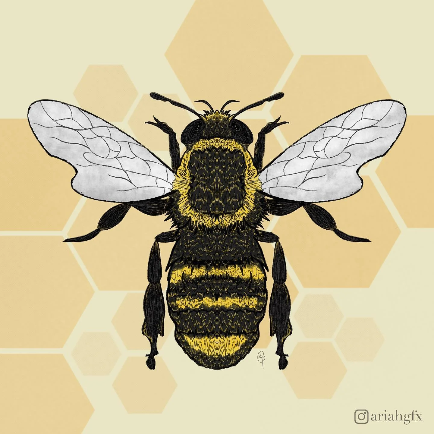 🐝

~
~
~
~
~
~
~
~
~
~

#art #procreate #bee #artist #artwork #digitalart #bees #symmetry #graphicdesign #graphicdesigner #honey #honeycomb