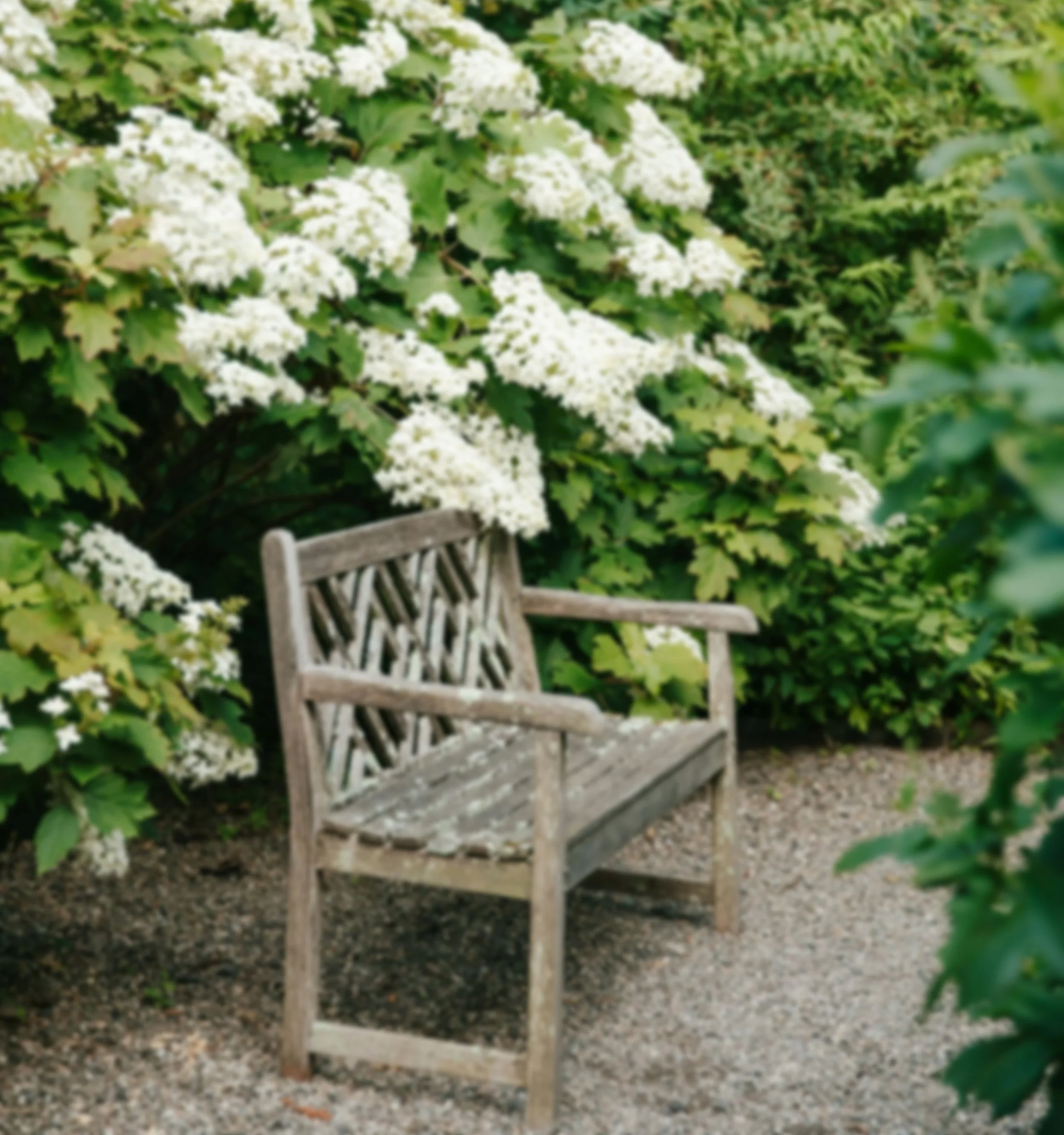 A wooden garden bench with a crisscross backrest, placed on a gravel path surrounded by green foliage and white flowering bushes.