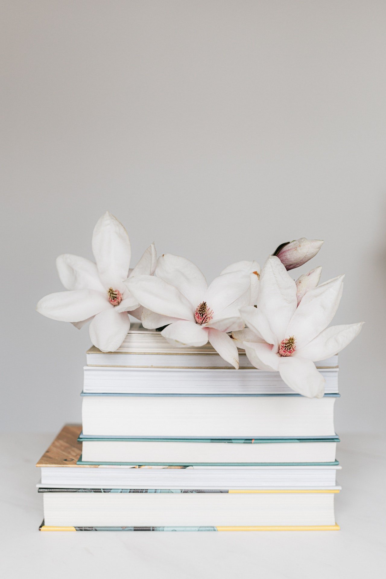 White magnolia flowers and unopened buds arranged on top of stacked books with white and neutral backgrounds.