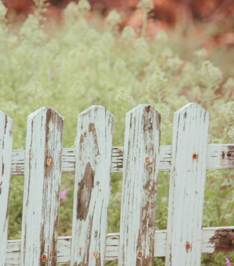 A weathered white wooden picket fence with peeling paint, set against a blurred background of green and reddish foliage.
