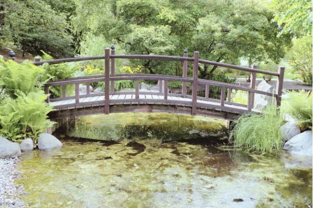 wooden bridge over a pond