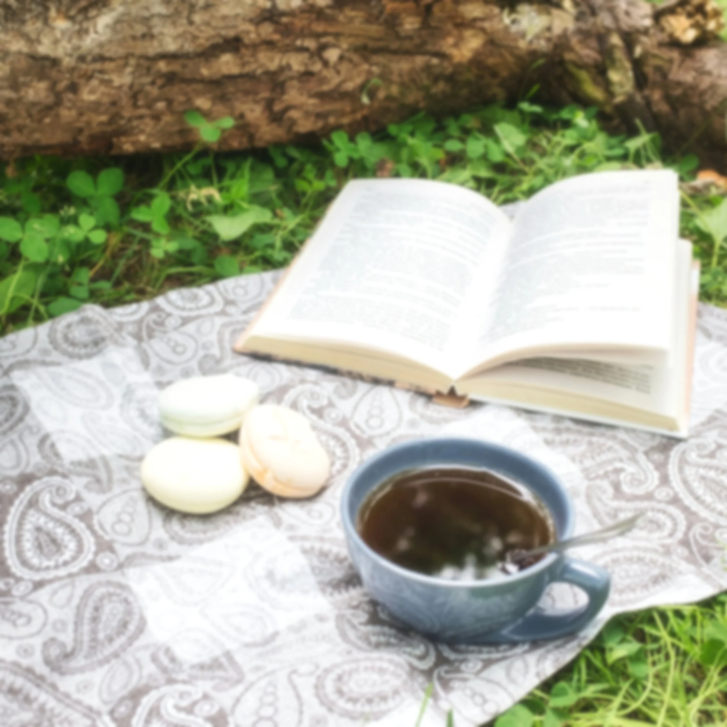 Open book on a white lace tablecloth beneath a tree with green ground cover plants, a white candle, and a blue mug with hot chocolate.