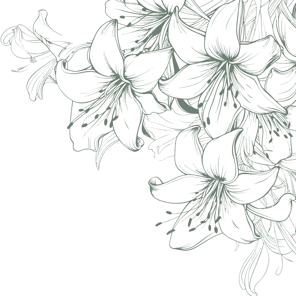 Lilies