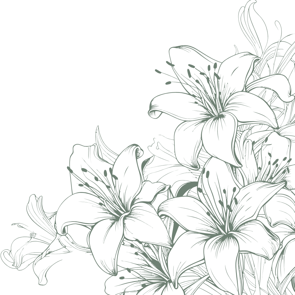 Outline drawing of lilies on a black background