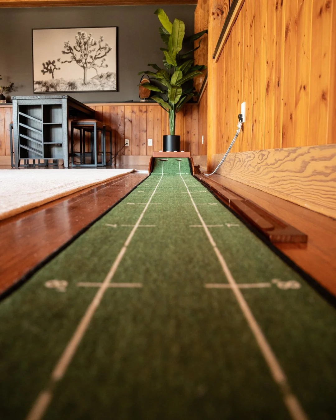 Indoor mini golf putting green with a green carpeted surface and white lines, running along a wooden floor and wall, with a potted plant and a framed black-and-white tree artwork in the background.