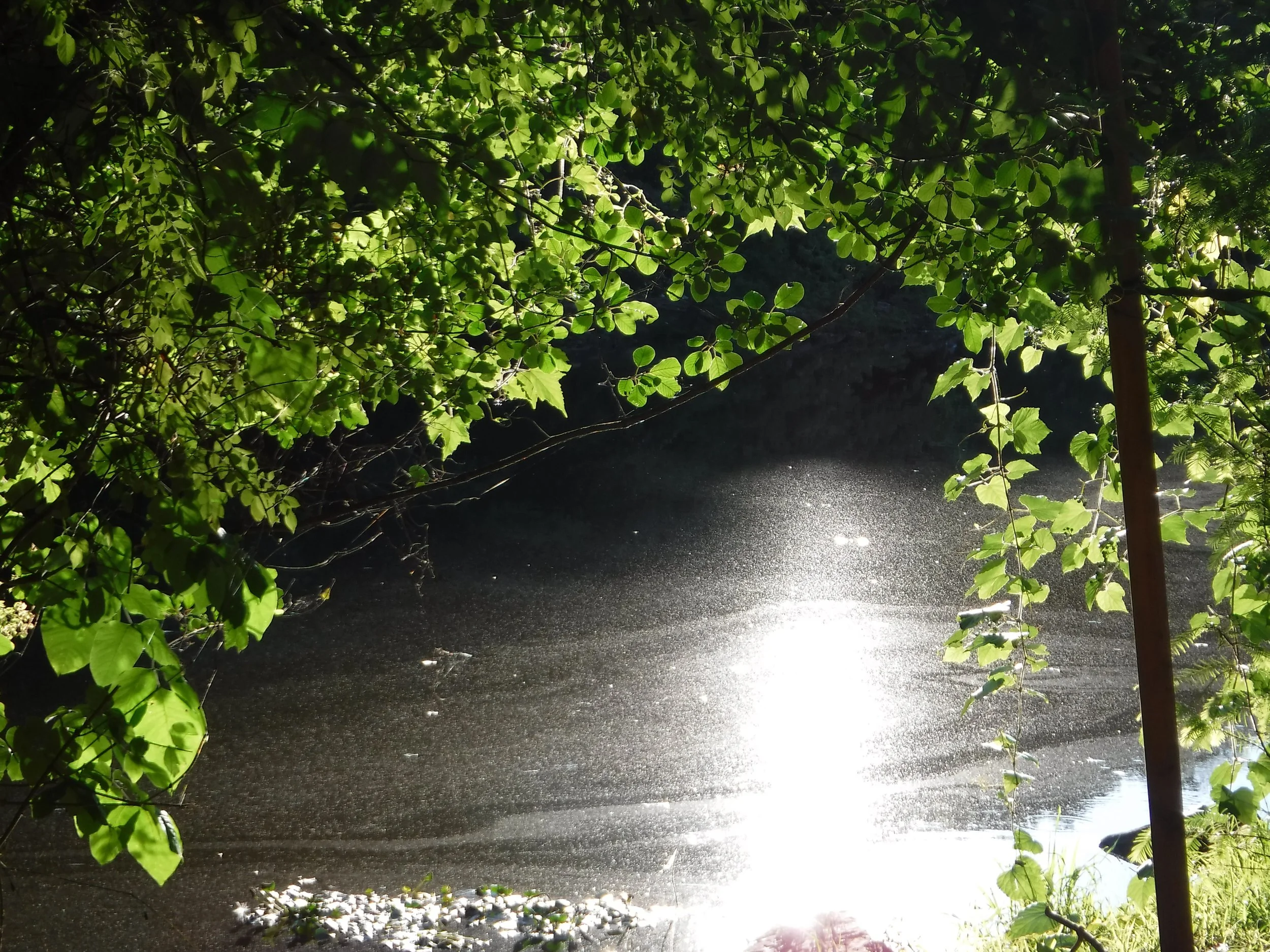 DSCF8283.JPG