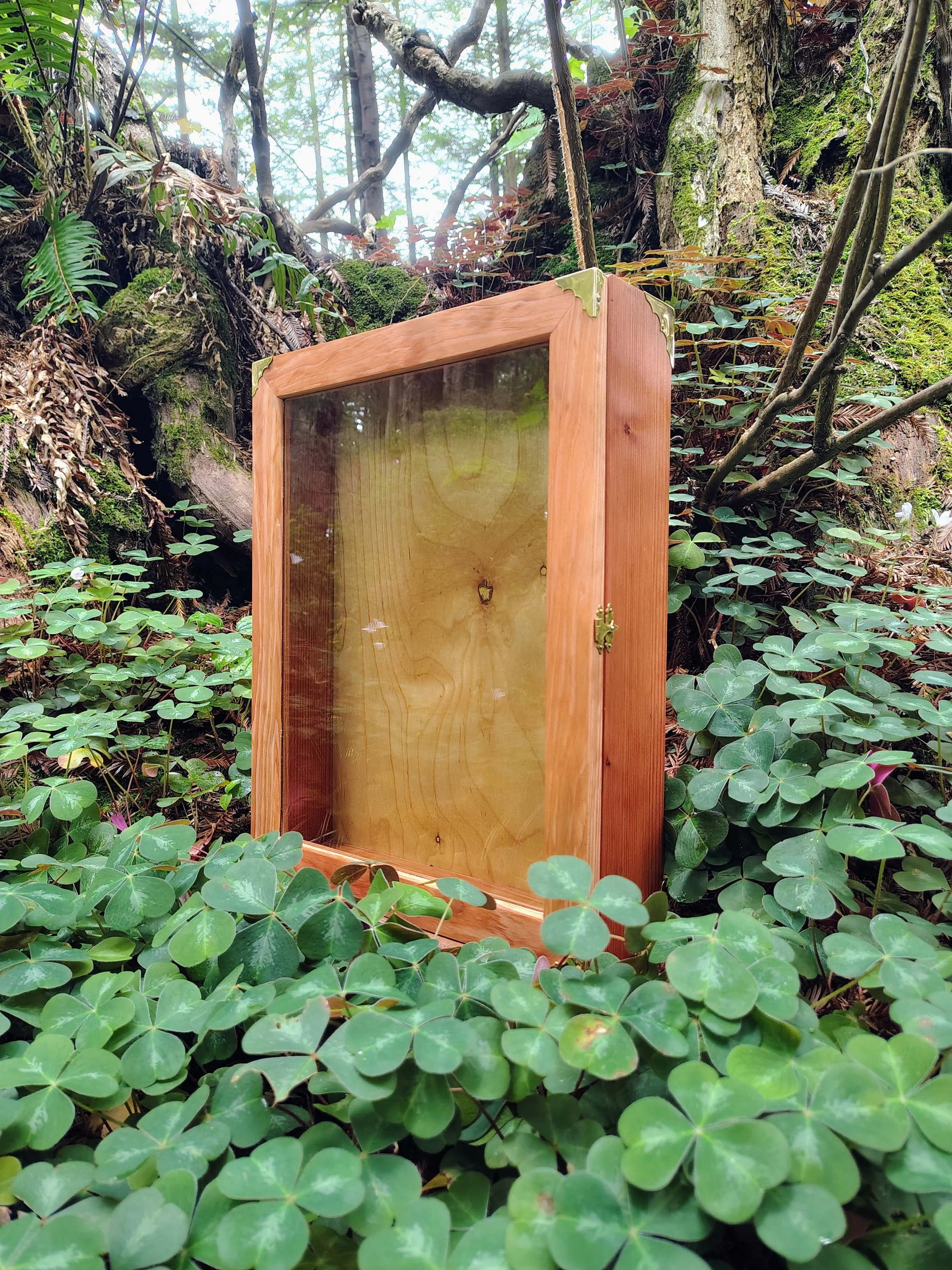 Redwood (second-growth) Kiot