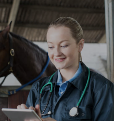 Vet Tech - ICU / Treatment Equine Technician 