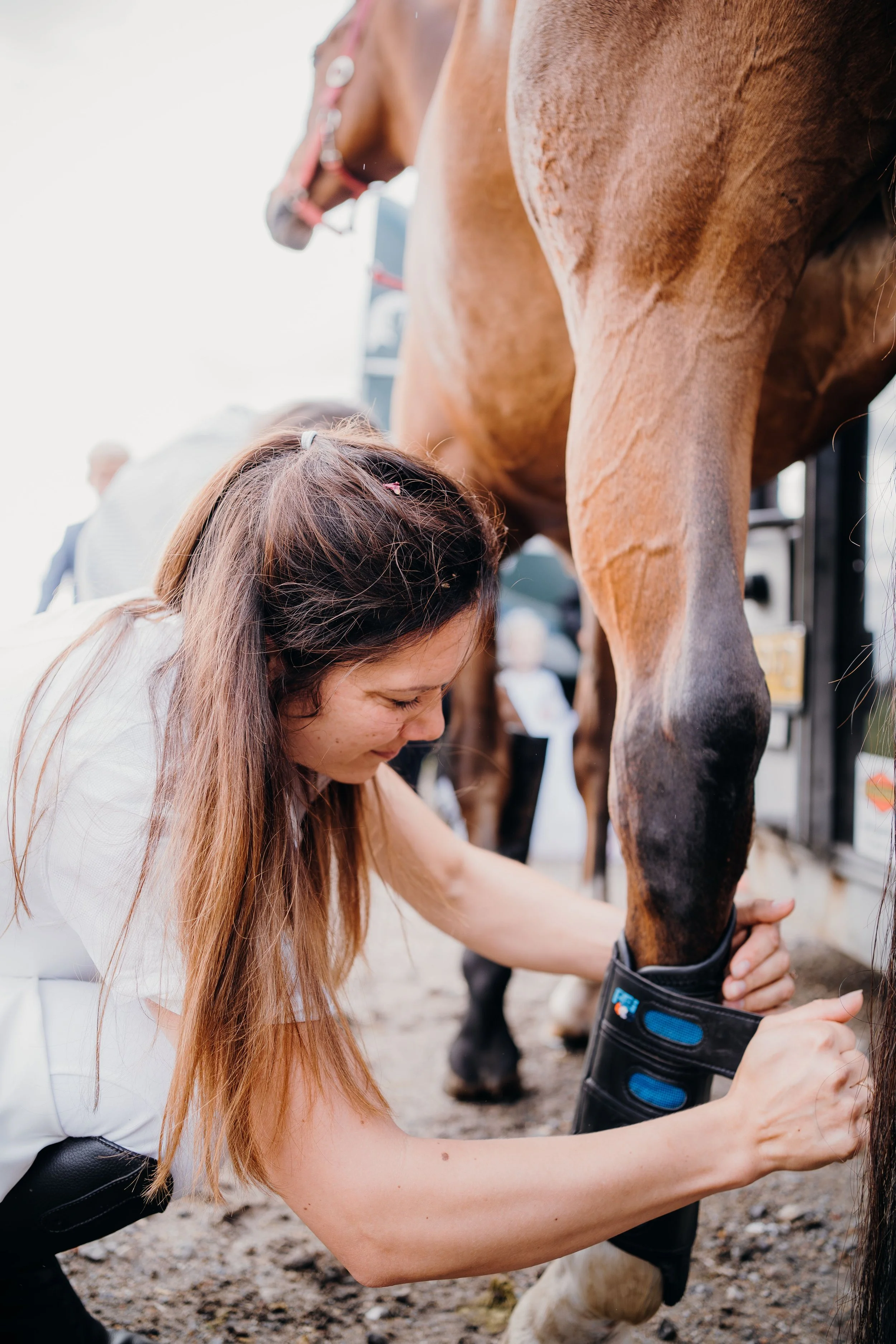 Vet Tech - ICU / Treatment Equine Technician 
