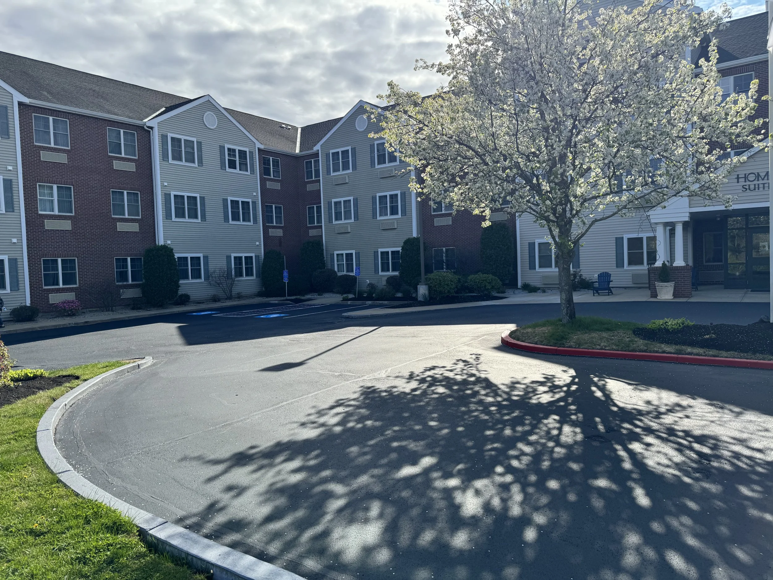 An apartment complex with a parking lot, a blooming tree casting shadows, and a building with a sign that reads 'Home Suites' in the background.