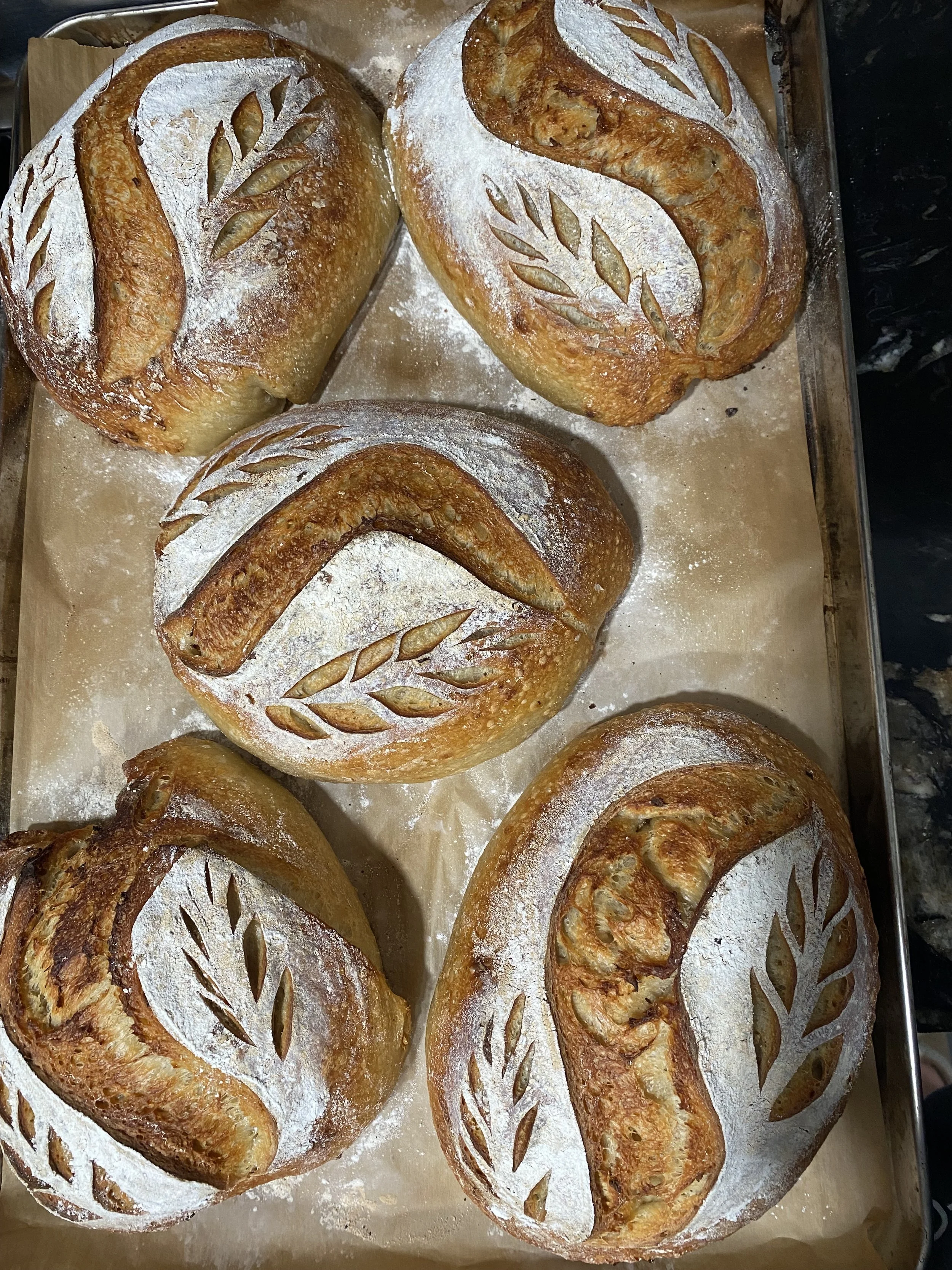 Powerdough Onion and Garlic